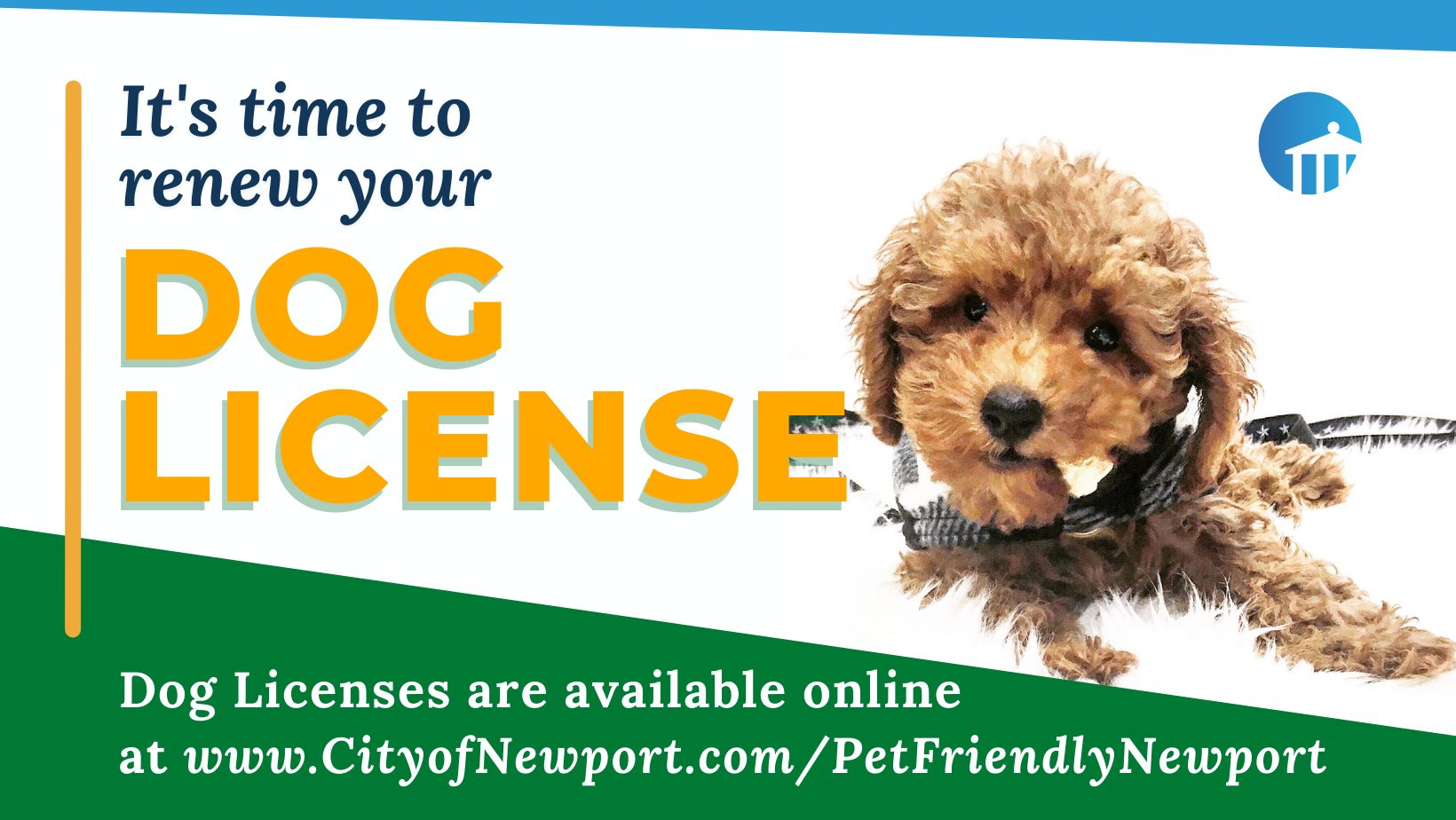 Dog License Renewals